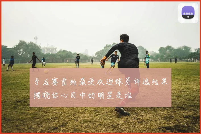 季后赛首轮最受欢迎球员评选结果揭晓你心目中的明星是谁