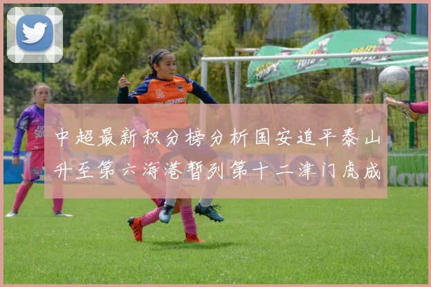 中超最新积分榜分析国安追平泰山升至第六海港暂列第十二津门虎成功摆脱垫底困境